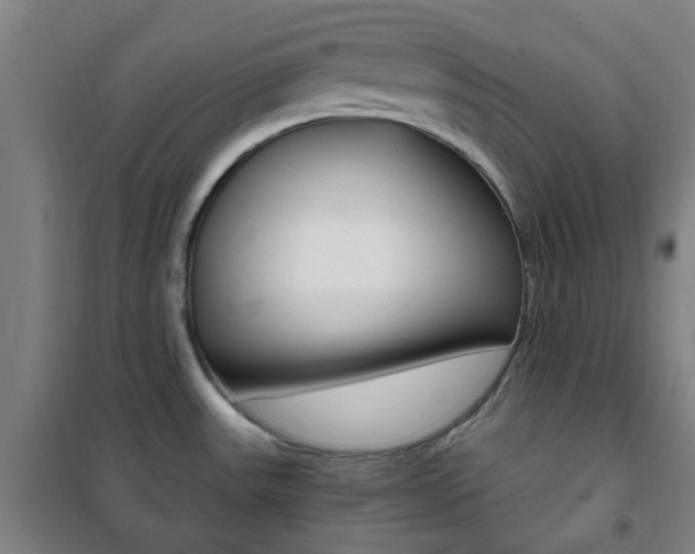 X0000101711531200807101357
