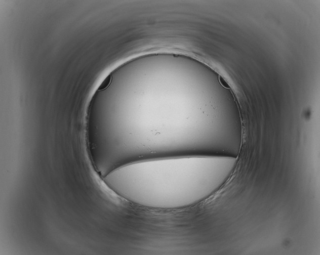 X0000101711532200807101357