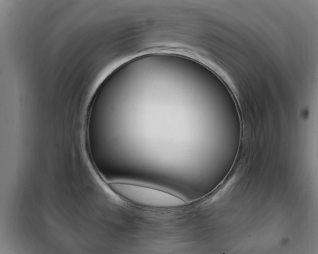 X0000101711533200807101357