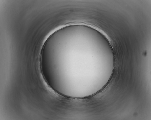 X0000101711534200807101357