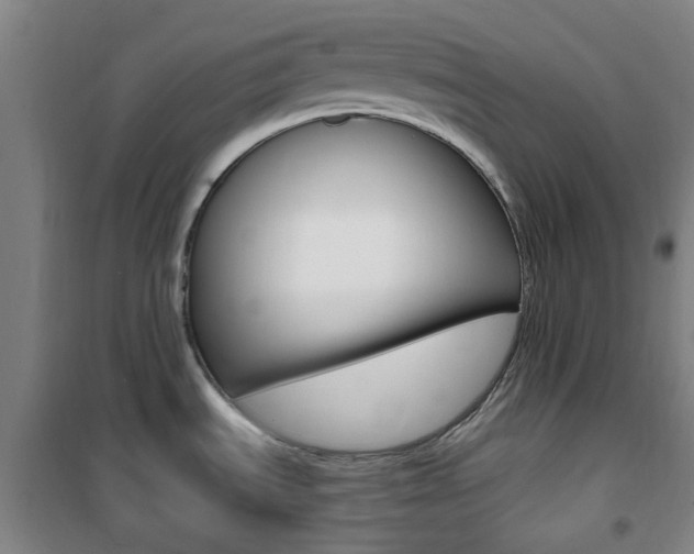 X0000101711535200807101357