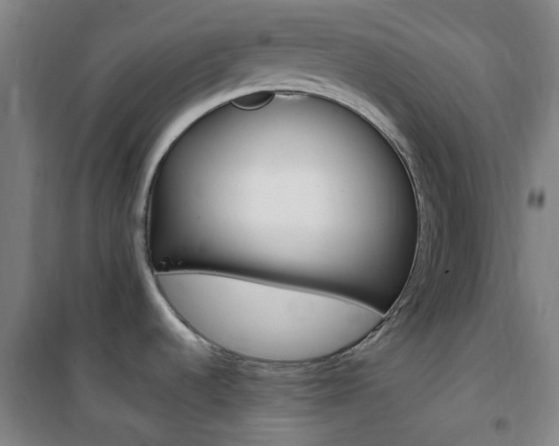 X0000101711536200807101357