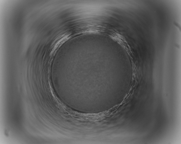X0000101710001200807101616