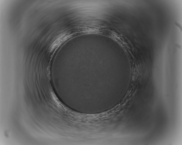 X0000101710002200807101616