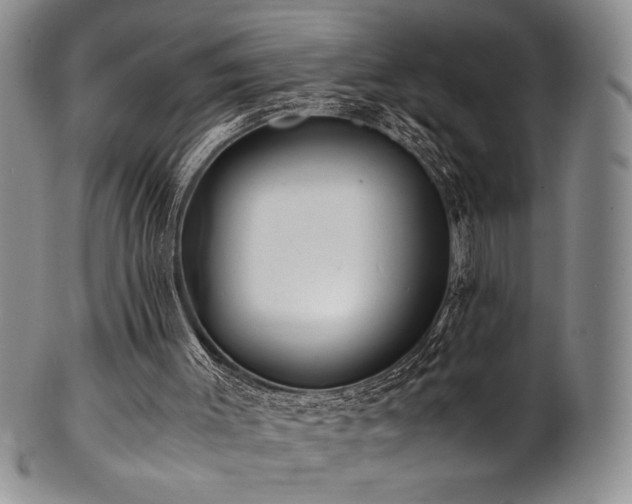X0000101710003200807101616