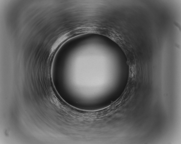 X0000101710004200807101616
