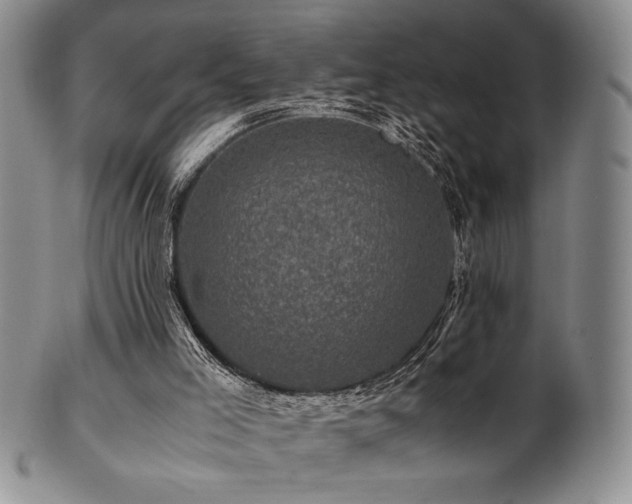 X0000101710005200807101616