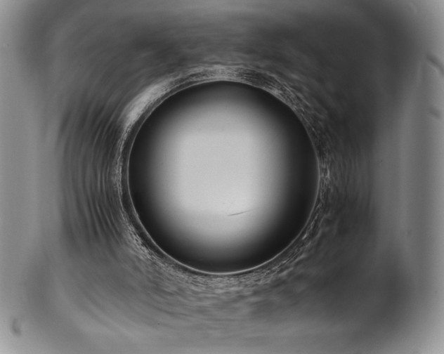 X0000101710006200807101616