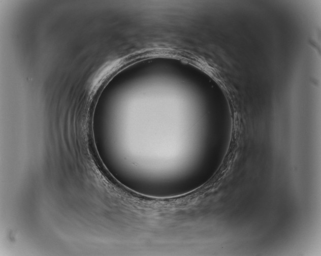 X0000101710007200807101616