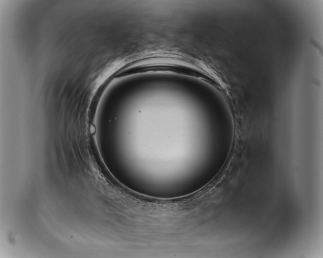 X0000101710008200807101616