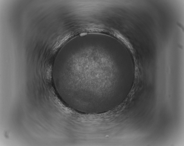 X0000101710009200807101616