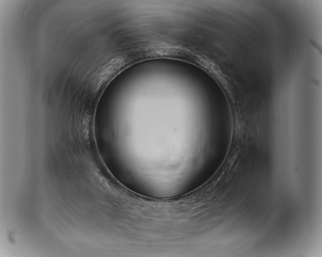 X0000101710010200807101616