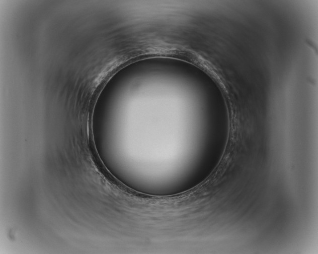 X0000101710011200807101616