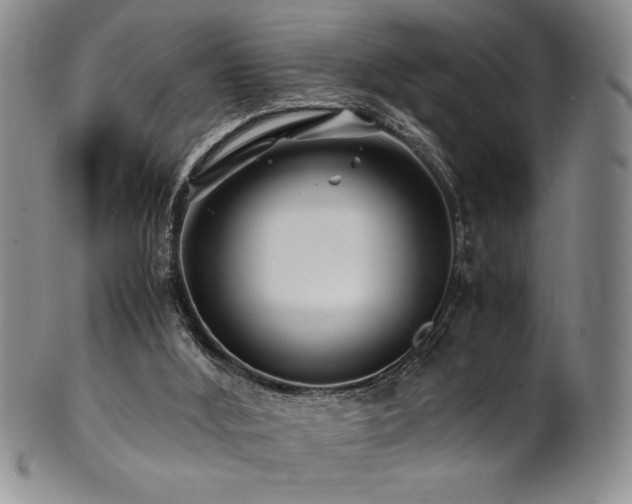 X0000101710012200807101616