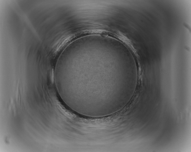 X0000101710013200807101615