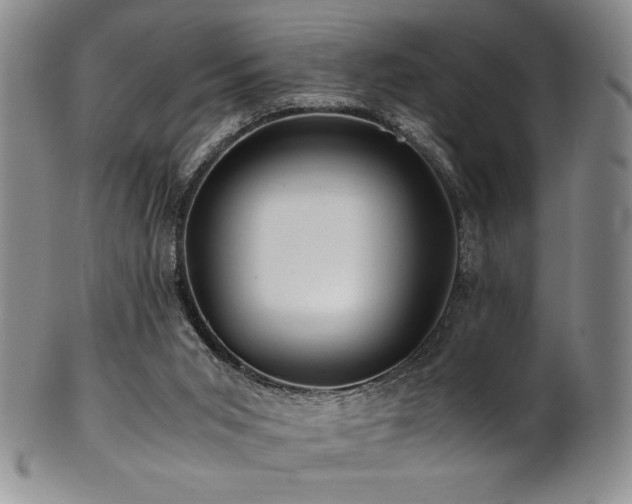 X0000101710015200807101615