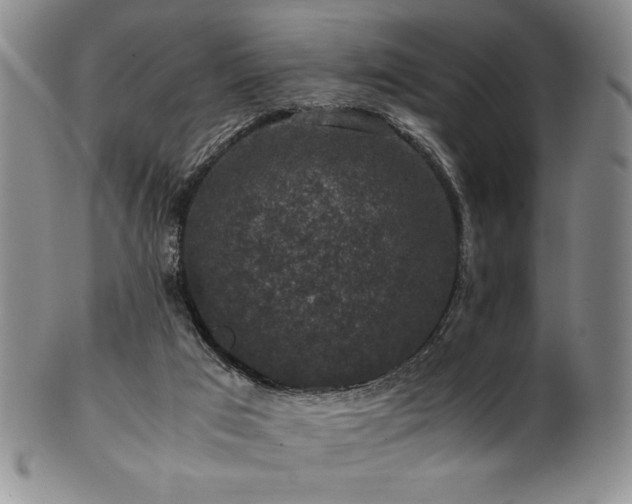 X0000101710017200807101615