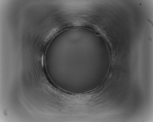 X0000101710019200807101615