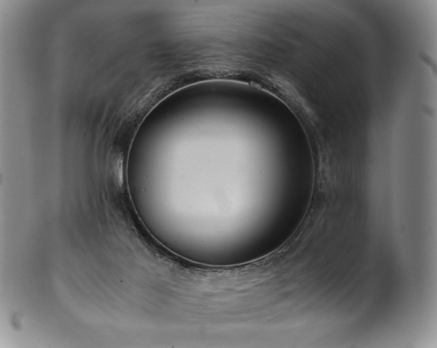 X0000101710021200807101615
