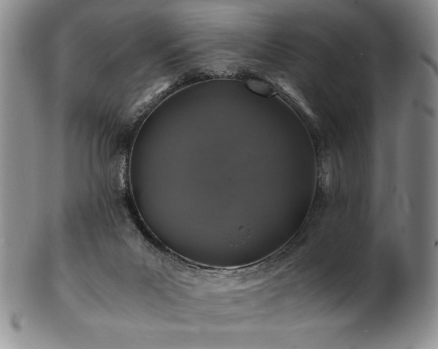 X0000101710023200807101615