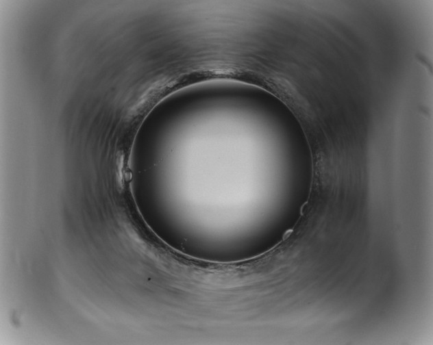 X0000101710024200807101615