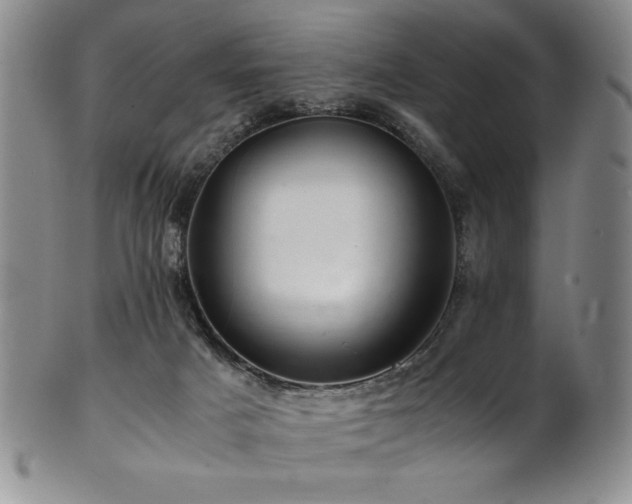 X0000101710025200807101615