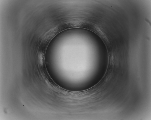 X0000101710026200807101615