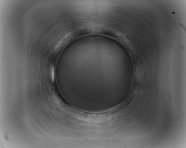 X0000101710027200807101615