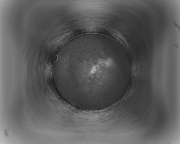 X0000101710029200807101615