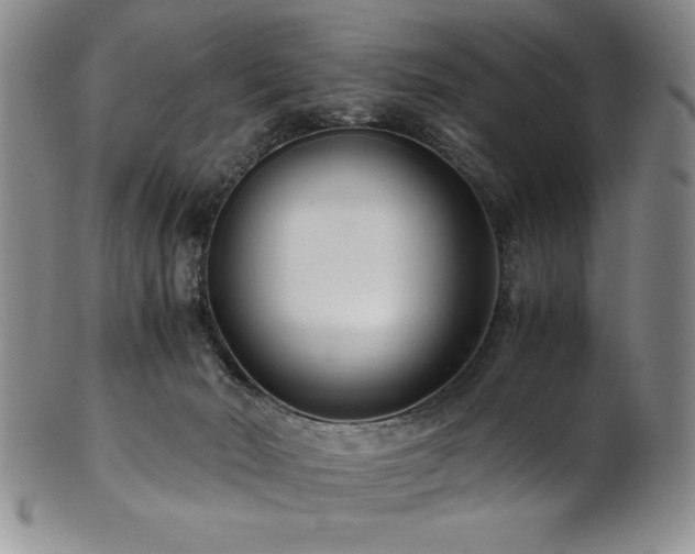 X0000101710030200807101615