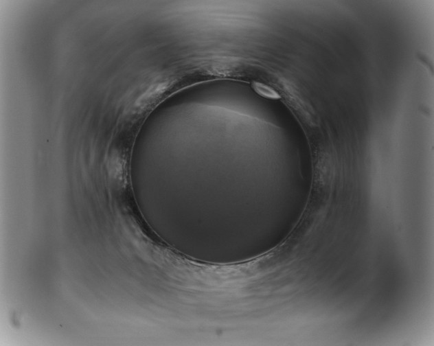 X0000101710031200807101615