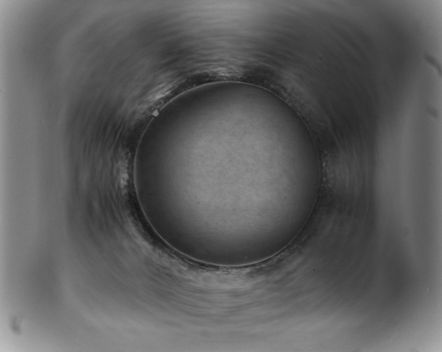 X0000101710032200807101615