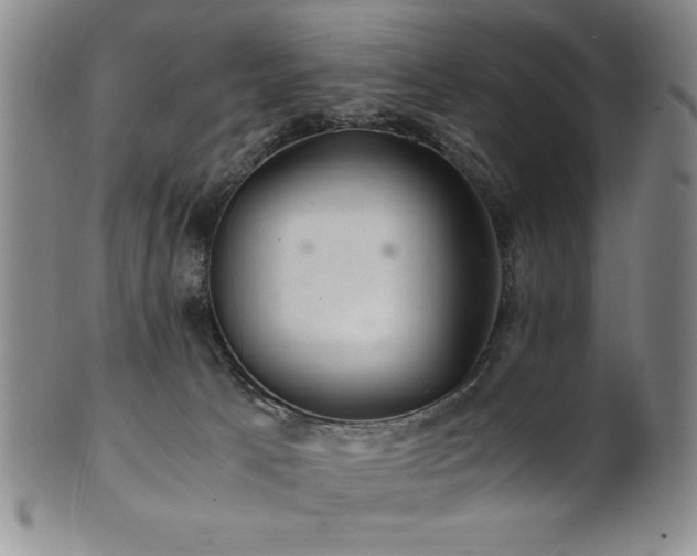 X0000101710033200807101615