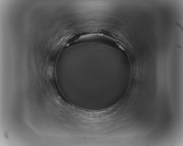 X0000101710035200807101615