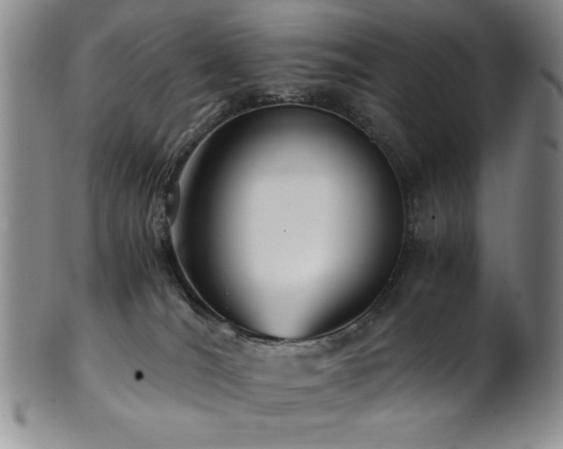 X0000101710036200807101615