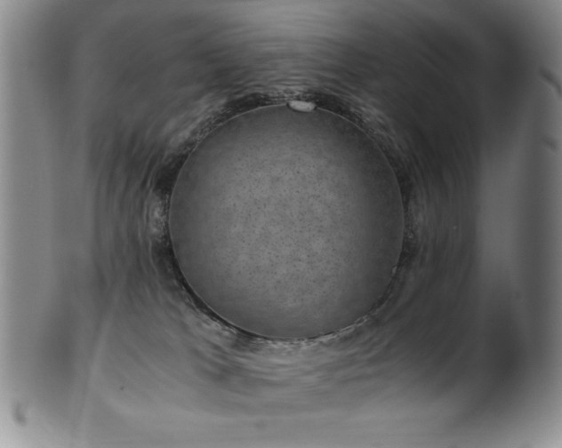 X0000101710037200807101615