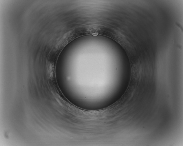 X0000101710038200807101615
