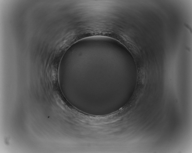 X0000101710039200807101615
