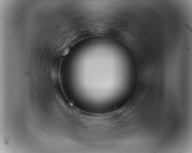X0000101710040200807101615