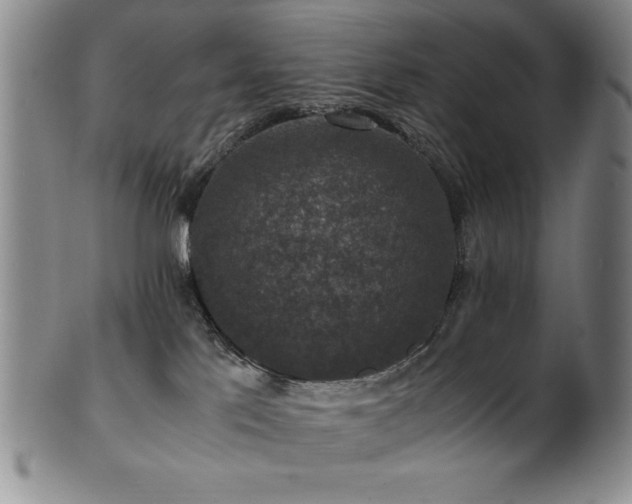 X0000101710041200807101615