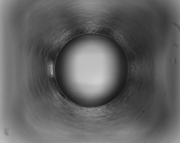 X0000101710042200807101615