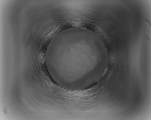 X0000101710043200807101615