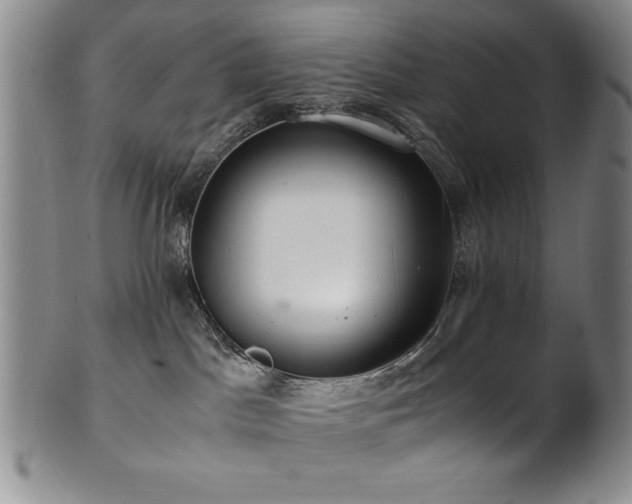 X0000101710045200807101615