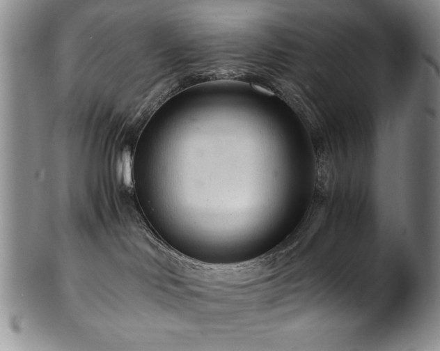 X0000101710046200807101615