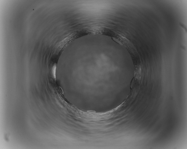 X0000101710047200807101615