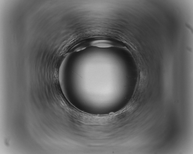 X0000101710048200807101615