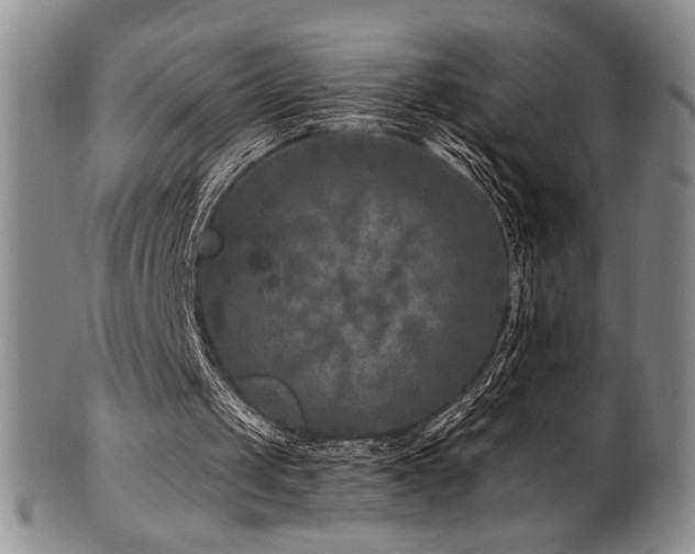 X0000101710049200807101614
