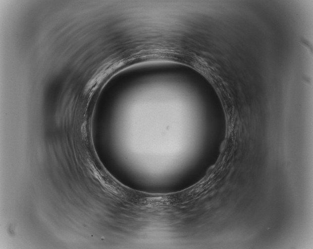 X0000101710050200807101614