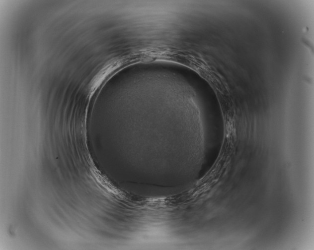 X0000101710052200807101614