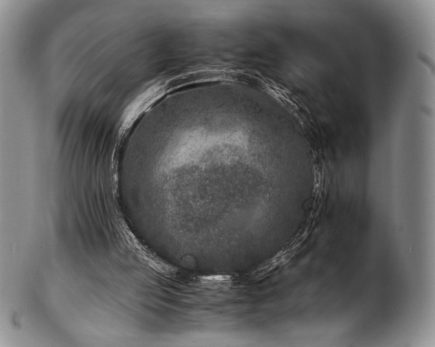 X0000101710053200807101614